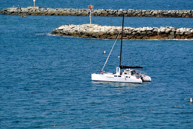 Free Newport Nature photo and picture
