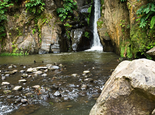 Free Waterfall River photo and picture