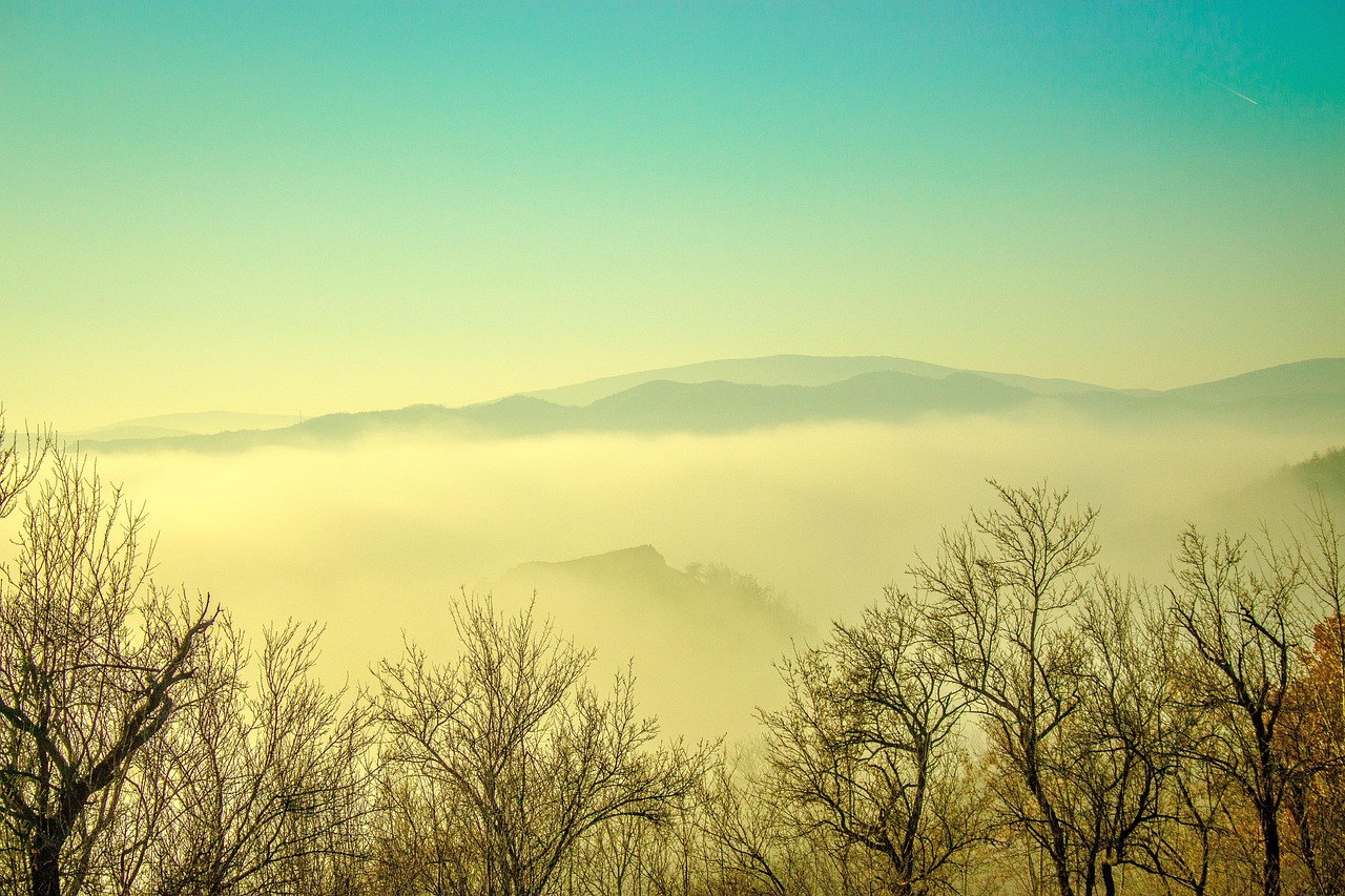 Landscape - free online jigsaw puzzle photo