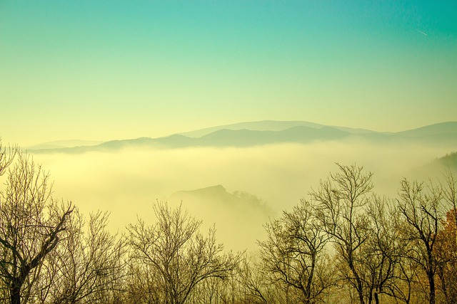 Landschaft, Nebel, Berg, Morgen, Licht