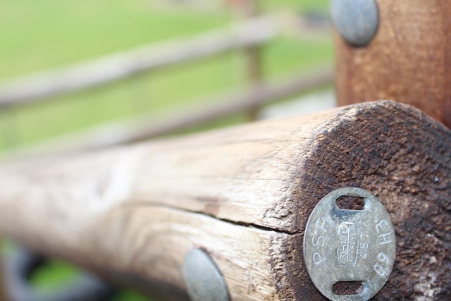 Free Park Wooden photo and picture