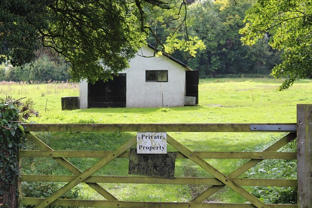 Free Jane Austen Greenery photo and picture