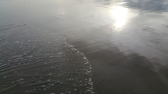 Free Beach Washed Beach photo and picture
