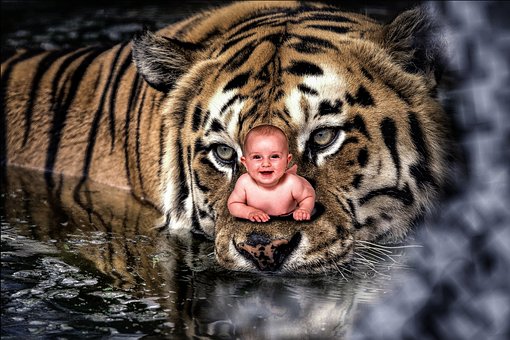 Free Manipulation Baby photo and picture