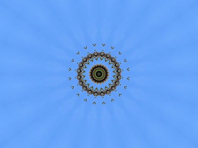 Download free HD stock image of Mandala Graphics Free mandala graphics decoration illustration