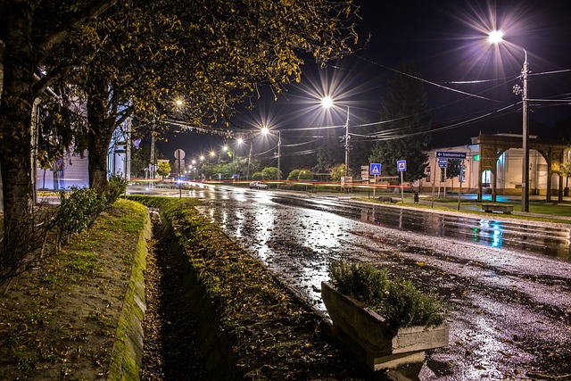 Free In The Evening Long photo and picture