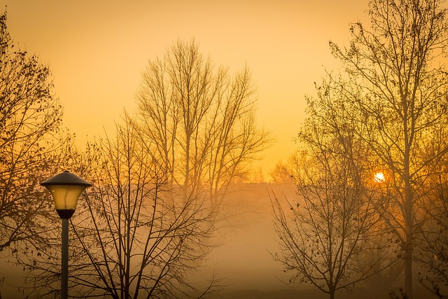 Nebel, Morgen, Licht, Oranges Licht