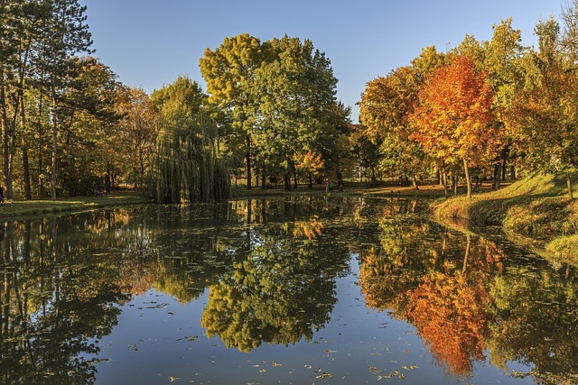 Free Nature Autumn Mood photo and picture