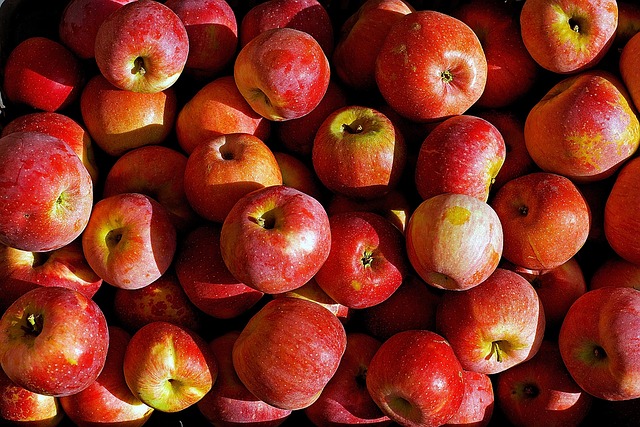 Free Apple Health photo and picture