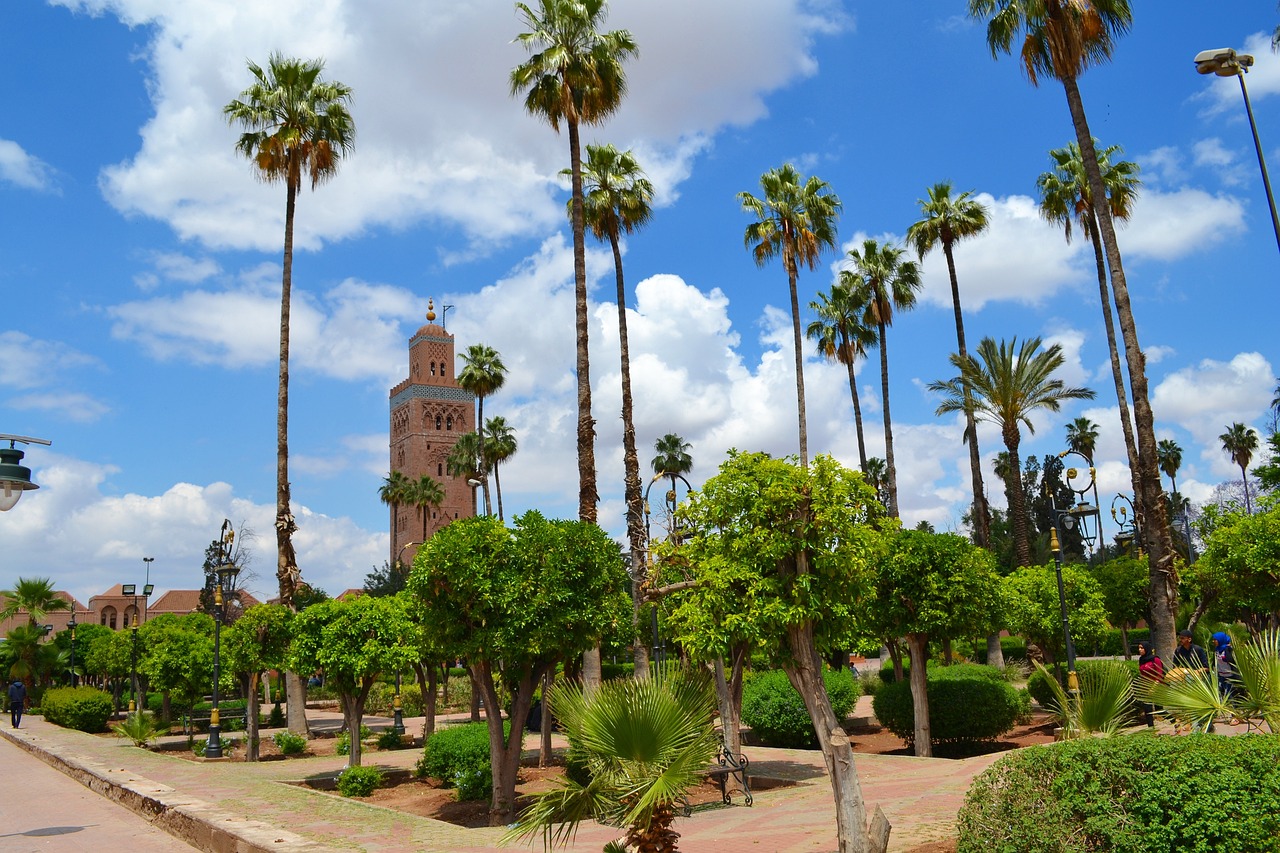 Koutoubia Mosque among the palms — Morocco
