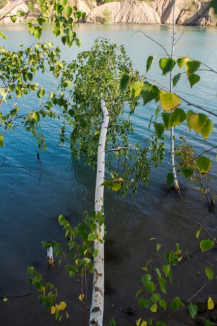 Free Nature Water photo and picture