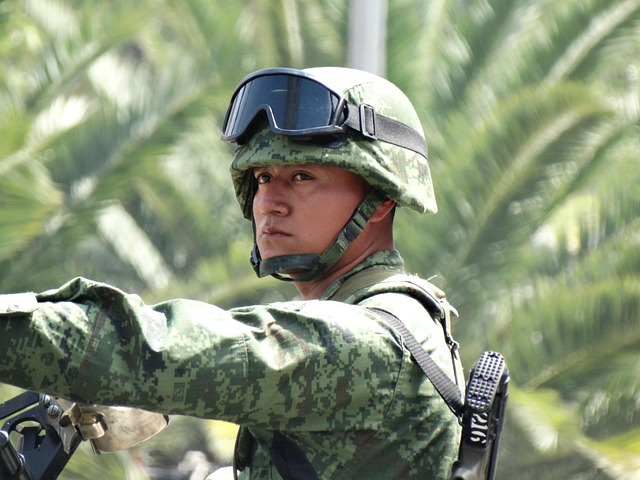 Militar, Soldado, Desfile, Militares