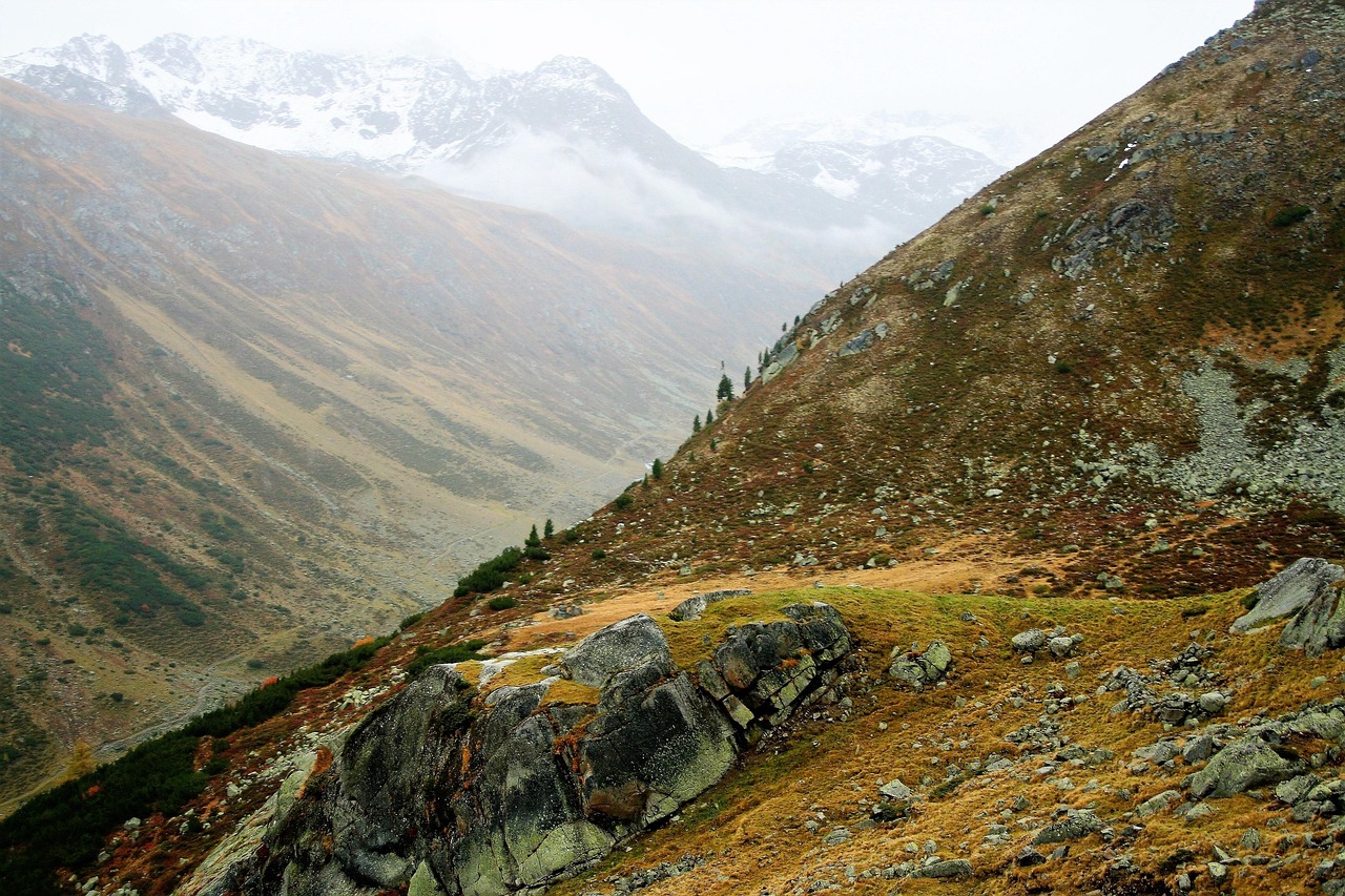 Tops - free online jigsaw puzzle photo
