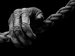 hand, monkey, gorilla