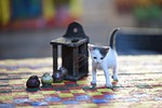 objects, animal, domestic
