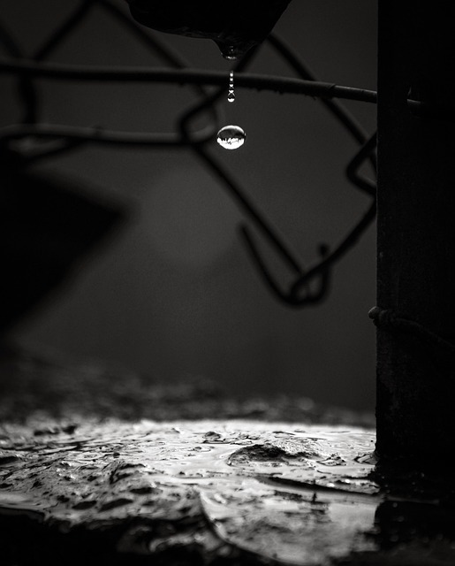 Free Water Drop photo and picture