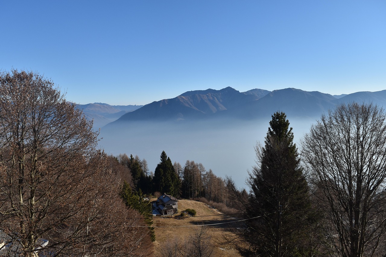 Nature - free online jigsaw puzzle photo