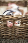 baby, baby toes, basket