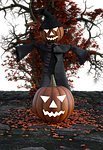 halloween, pumpkin, festival