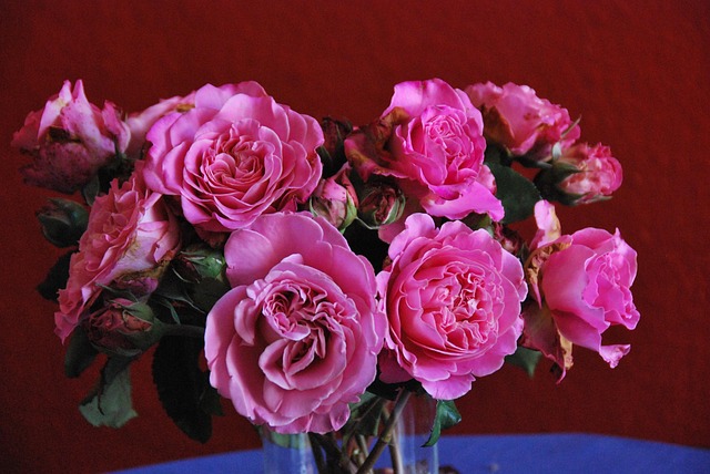 Free Nature Flower photo and picture