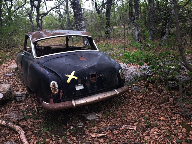 Free Automobile Ruin photo and picture