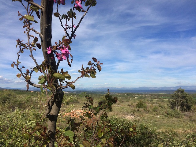 Free Plateau Provence photo and picture