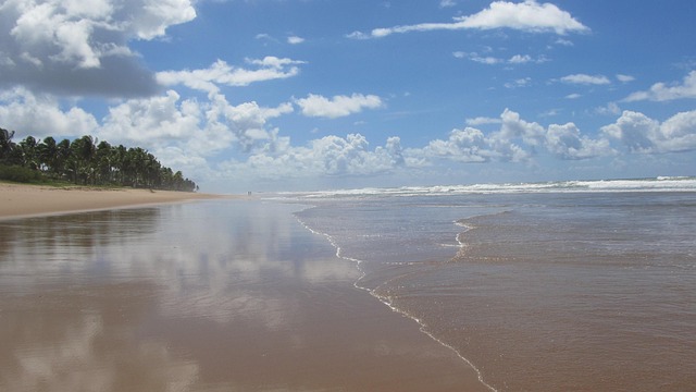 Teresina cerca di recuperare le aree verdi e affrontare il calore estremo con il Piano Direttore di Alberatura
