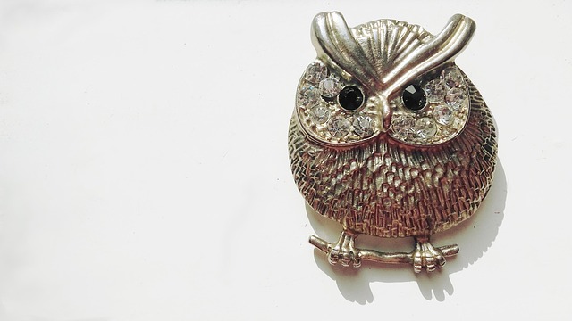 Free Owl Jewelry photo and picture