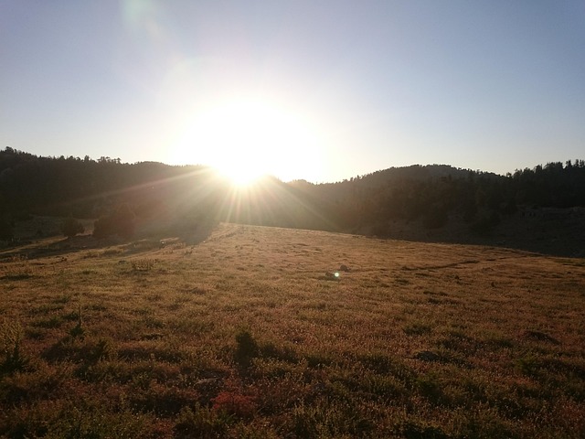 Free Sunset Nature photo and picture
