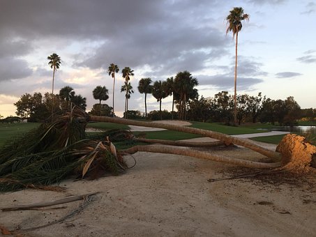 Orkan, Storm Skade, Storm, Skader, Natur