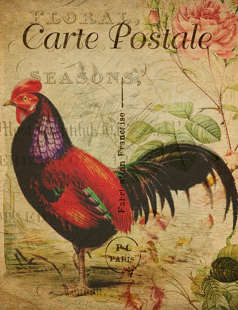 Free postcard vintage hen illustration