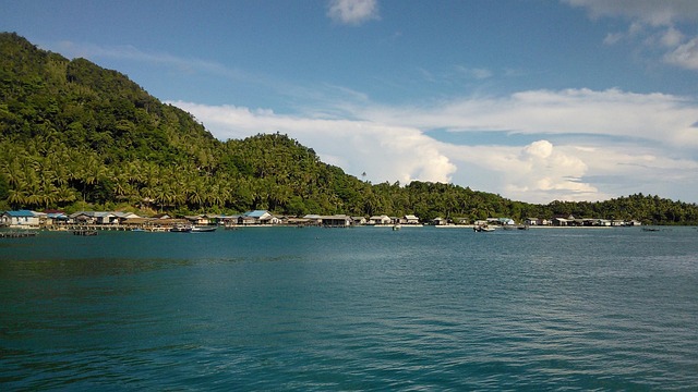 Free Island Sea photo and picture