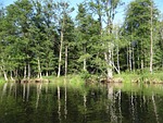 krutynia, canoe trip, river