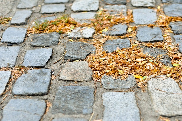 Free Cobblestone Fall photo and picture