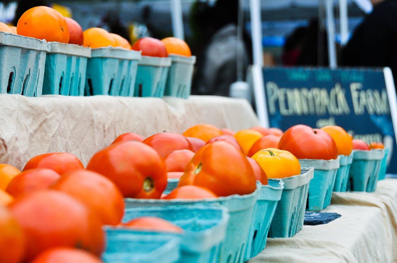 Tomatoes - free online jigsaw puzzle photo