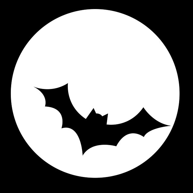 Knuppel, Luna, Vlieg, Vlucht, Halloween