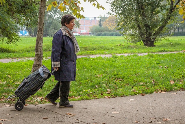 Großeltern, Oma, Frau, Ruhestand, Alt