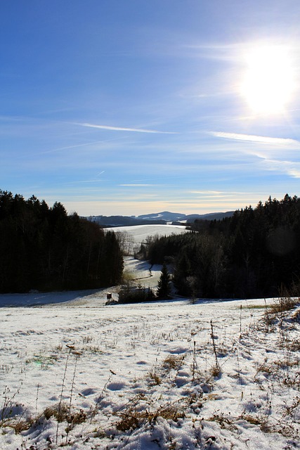Winter, Niederbayern, Bavaria, Natur
