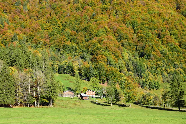 Free Chalet Nature photo and picture