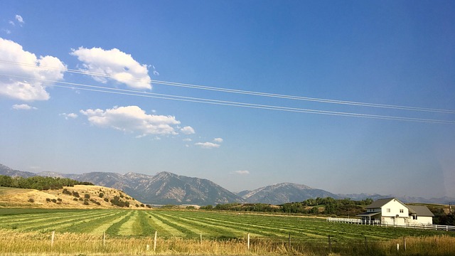 Landschap, Boerderij, Platteland