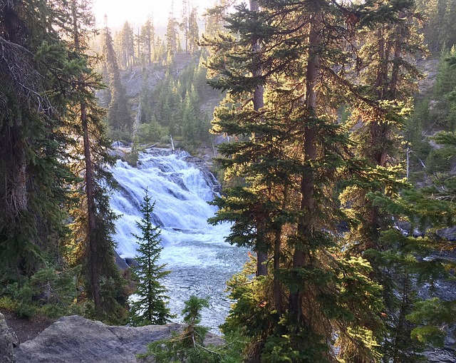 Waterval, Natuur, Woud