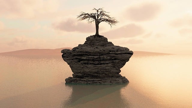 Baum, Wasser, Insel, Landschaft, See