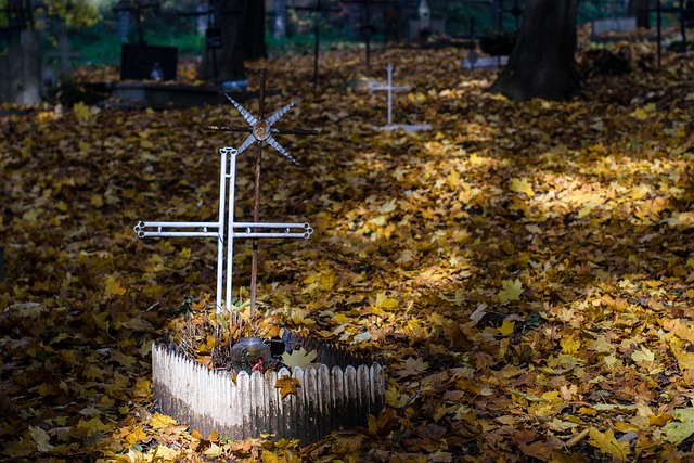 Free Cemetery Grave photo and picture