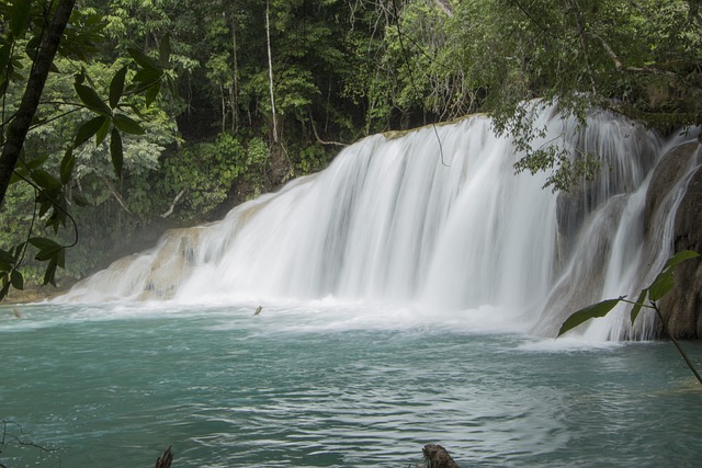 Free Waterfalls River photo and picture