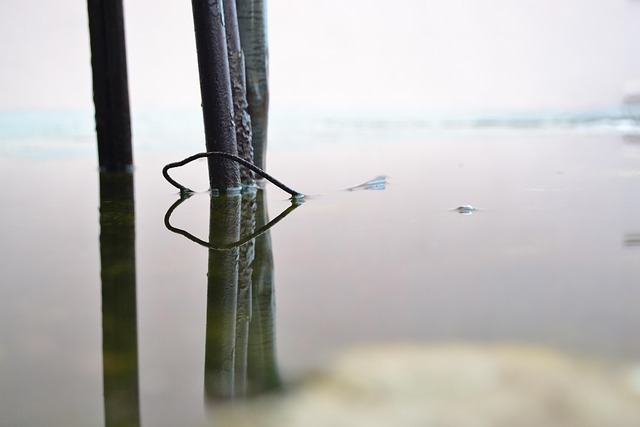 Free Water Oxide photo and picture