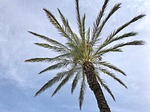 ibiza, spain, balearic islands