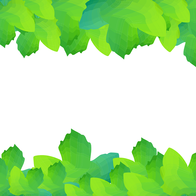 Download free HD stock image of Leaves Vector Free leaves vector nature vector