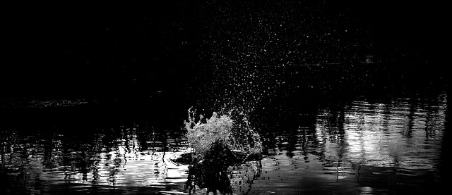 Free Splash Light photo and picture