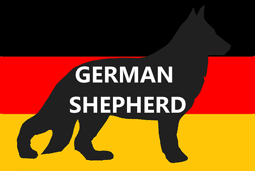 Free German Shepherd Dog illustration and picture