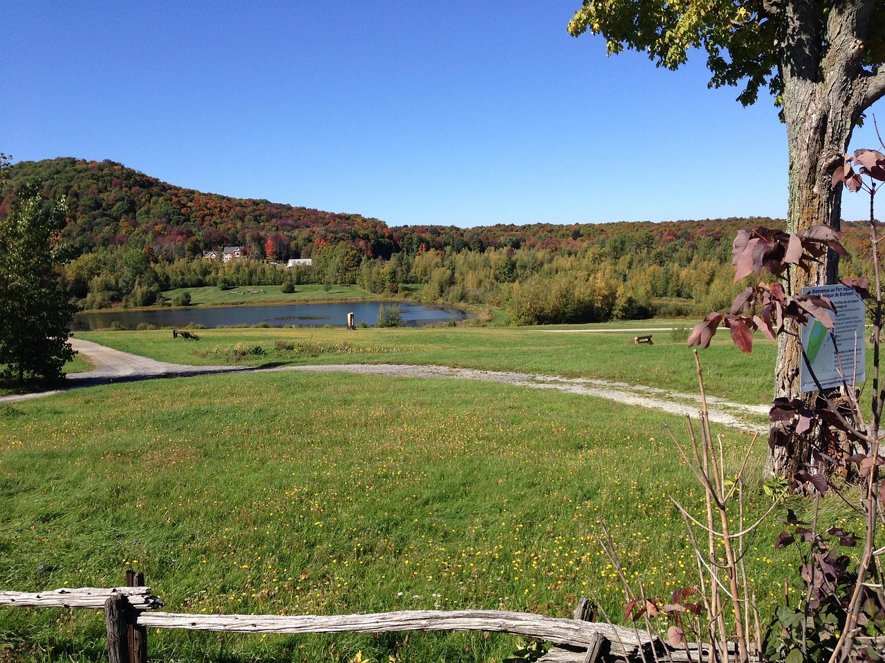 Autumn Landscape - free online jigsaw puzzle photo